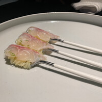 セルサルサーレ - 