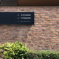 CICADA - 
