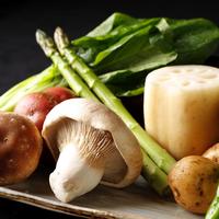 【Vegetable】