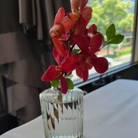 レストラン アルティザン（restaurant Artisan） - 