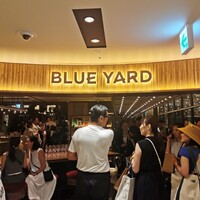 BLUE YARD - 