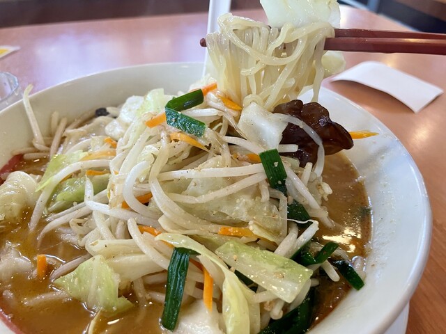 立川アコウデオンカ-テン 間仕切り タチカワブラインド アコーデオンカーテン H型(レール