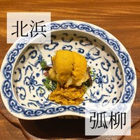 弧柳 - 