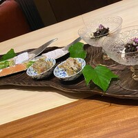 弧柳 - 