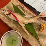 政府登録国際観光旅館 鬼岩温泉 了山 - 