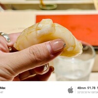 博多 鮨 まつもと - 