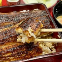 炭焼 うな富士 有楽町店 - 
