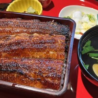 炭焼 うな富士 有楽町店 - 