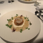 白金シェ・トモ　ナチュラル キュイジーヌ - 