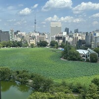 ルーキスガーデン 上野店 - 