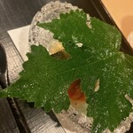 津の守坂 小柴 - 