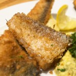 洋食 おがた - 魚フライ　グジ