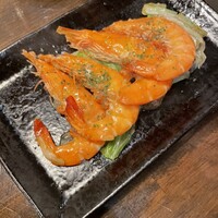 アカミヤコウシ - 