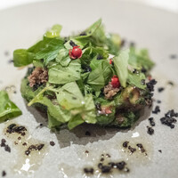 ARMONICO - 