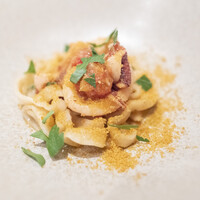 ARMONICO - 