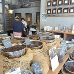 マウント コーヒー - 