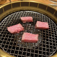 喜福世 - 
