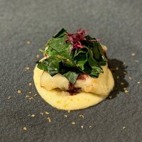 Maison B - 