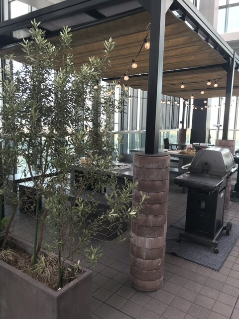 CARVINO Middorandosukuea photo 4