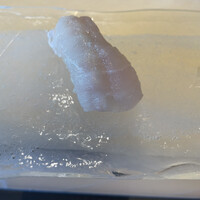 鮨 やまけん 銀座店 - 