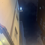 モツの朝立ち - 