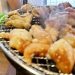 炭火ホルモン焼肉 ひゃくてん 溝の口 - 