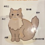 Somali cat & cafe & bar - ナデテココ。