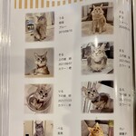 Somali cat & cafe & bar - 婿養子おる。