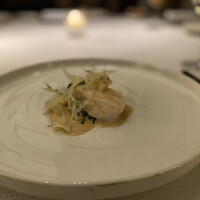 スプレンディード - 