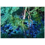 카루이자와 쿠로이와 무니 - 