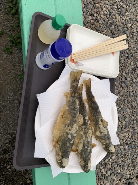 いわなの里 - 只見（その他）の写真