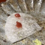 馳走 啐啄一十  - 