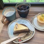 やさい菓子工房 cocoai 大和高原店 - チーズケーキ、マンゴープリン、コーヒー