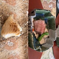 青山 星のなる木 - 