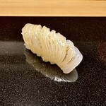 鮨 田可尾 - 障泥烏賊