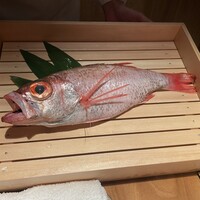 のどぐろ専門 銀座中俣 極 - 