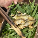 たま菜 - 