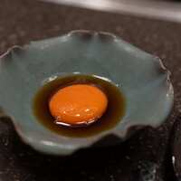 PONGA PREMIUM - 