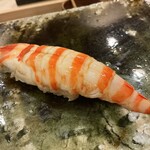 鮨桂太 - クルマエビ