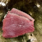 鮨桂太 - カツオ