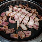 熟成肉専門店 ヨプの王豚塩焼 新大久保本店 - 