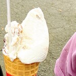 服部牧場アイスクリーム工房「カサリンガ」 - 