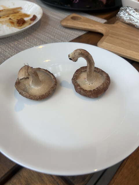 CAMELLIA 気仙沼大島（カメリア） - 陸前階上（その他）の写真