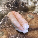一貫 - 甘海老