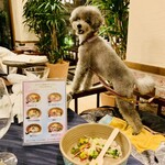 Le Chien Kyu Karuizawa