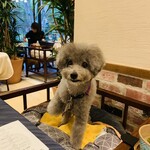 Le Chien Kyu Karuizawa