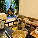 Le Chien Kyu Karuizawa