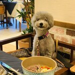 Le Chien Kyu Karuizawa