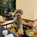 Le Chien Kyu Karuizawa