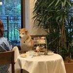 Le Chien Kyu Karuizawa